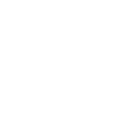 2025 AEL Logo Mono White