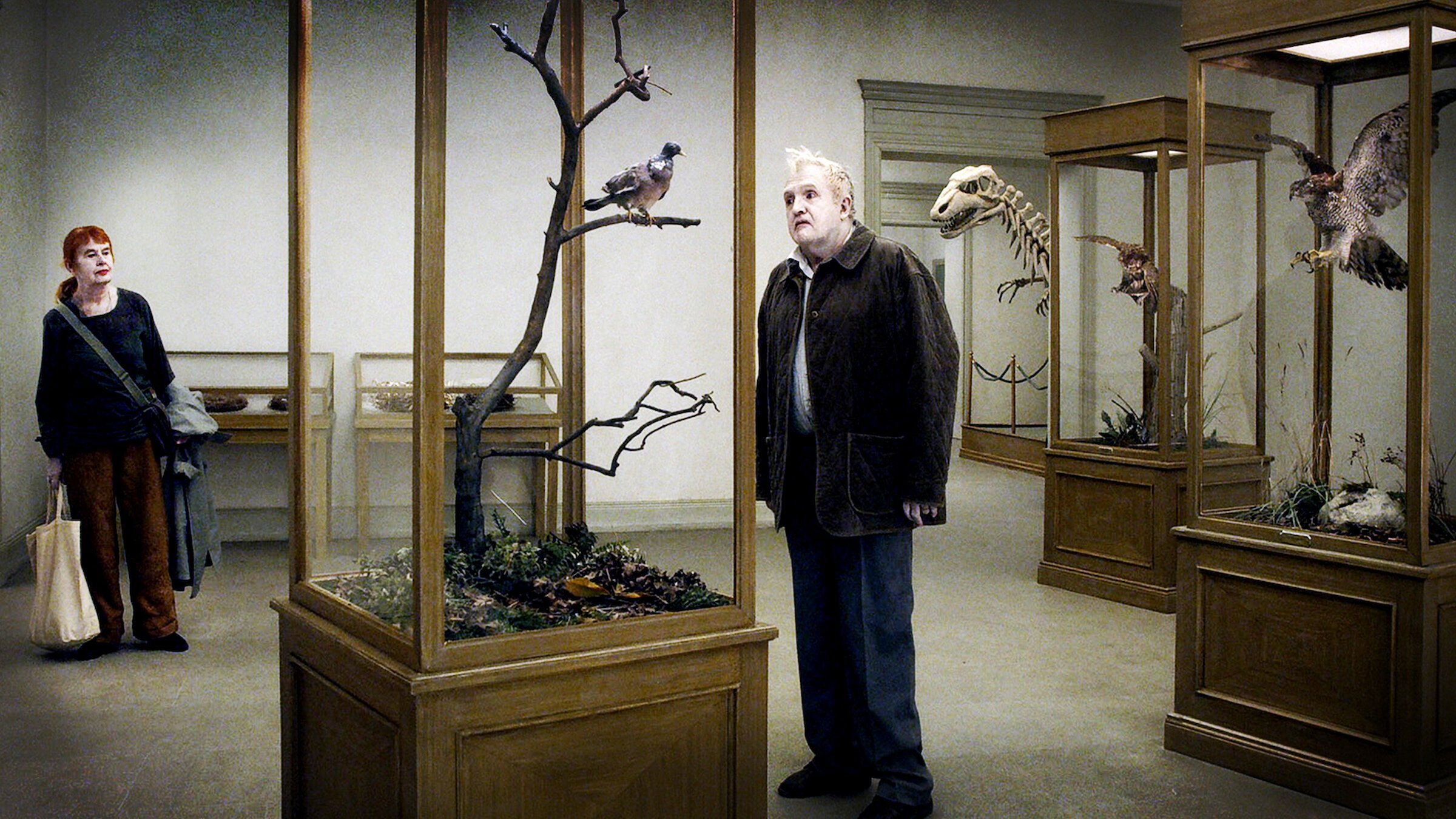 A Pigeon Sat on a Branch Reflecting on Existence