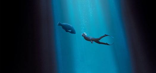 Blueback (2022) Arenamedia