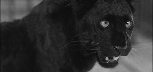 Cat People (2160 x 1023) Image Credit RKO Radio Pictures