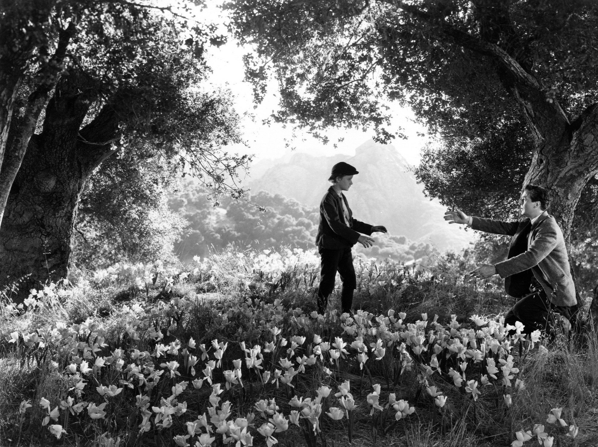 How Green Was My Valley