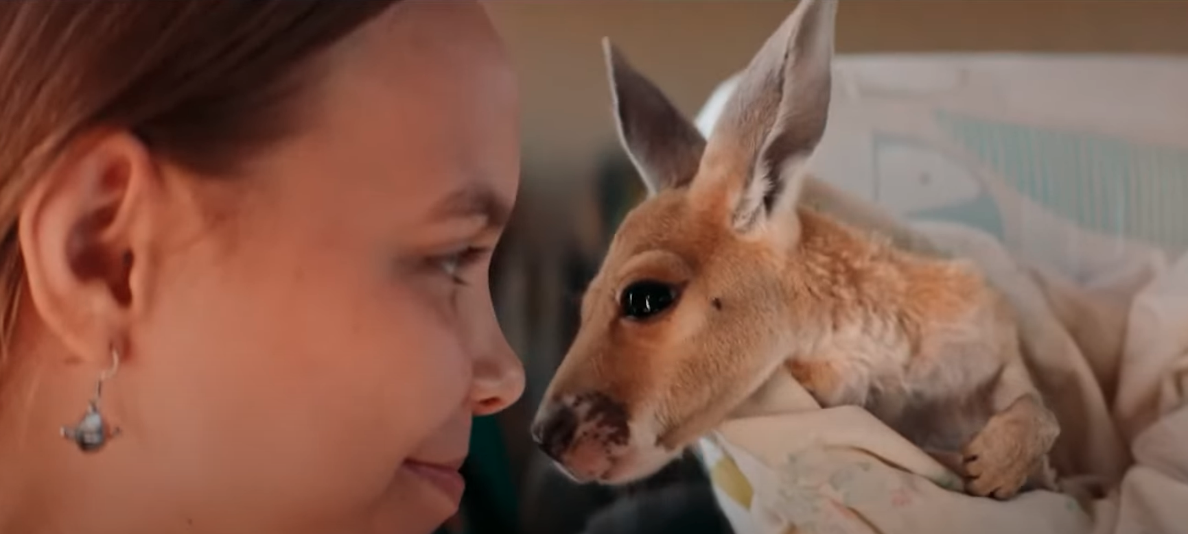 Extreme close up of girl and joey looking into each other's eyes