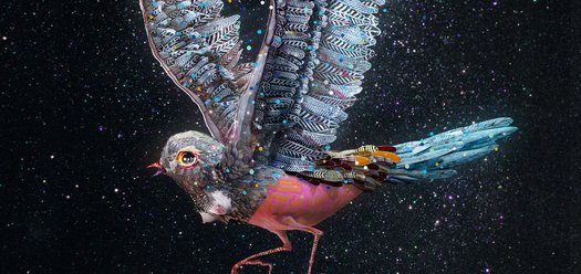 Oscar Wilde's The Nightingale and the Rose - hero image