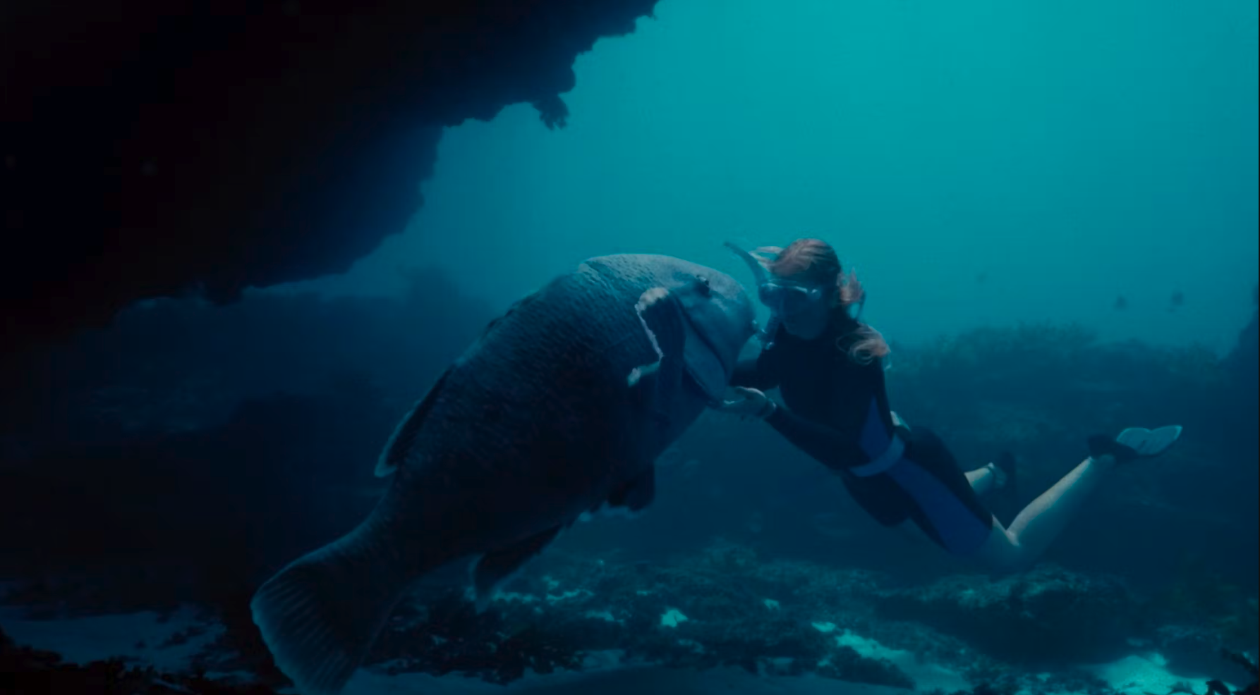 Girl wearing mask engages with large groper in blue sea
