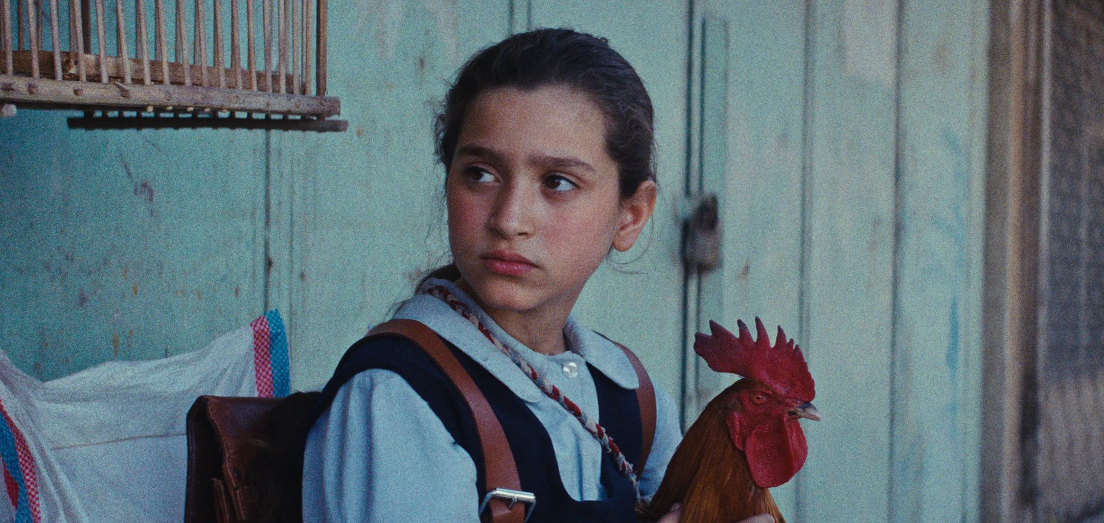 The President's Cake (2160x1023)