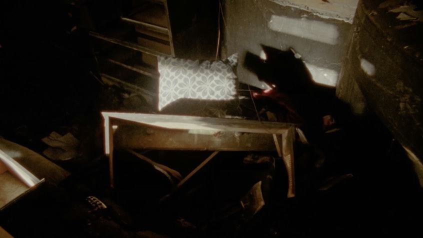 Agoda Asleep at Home, Lucas Haynes