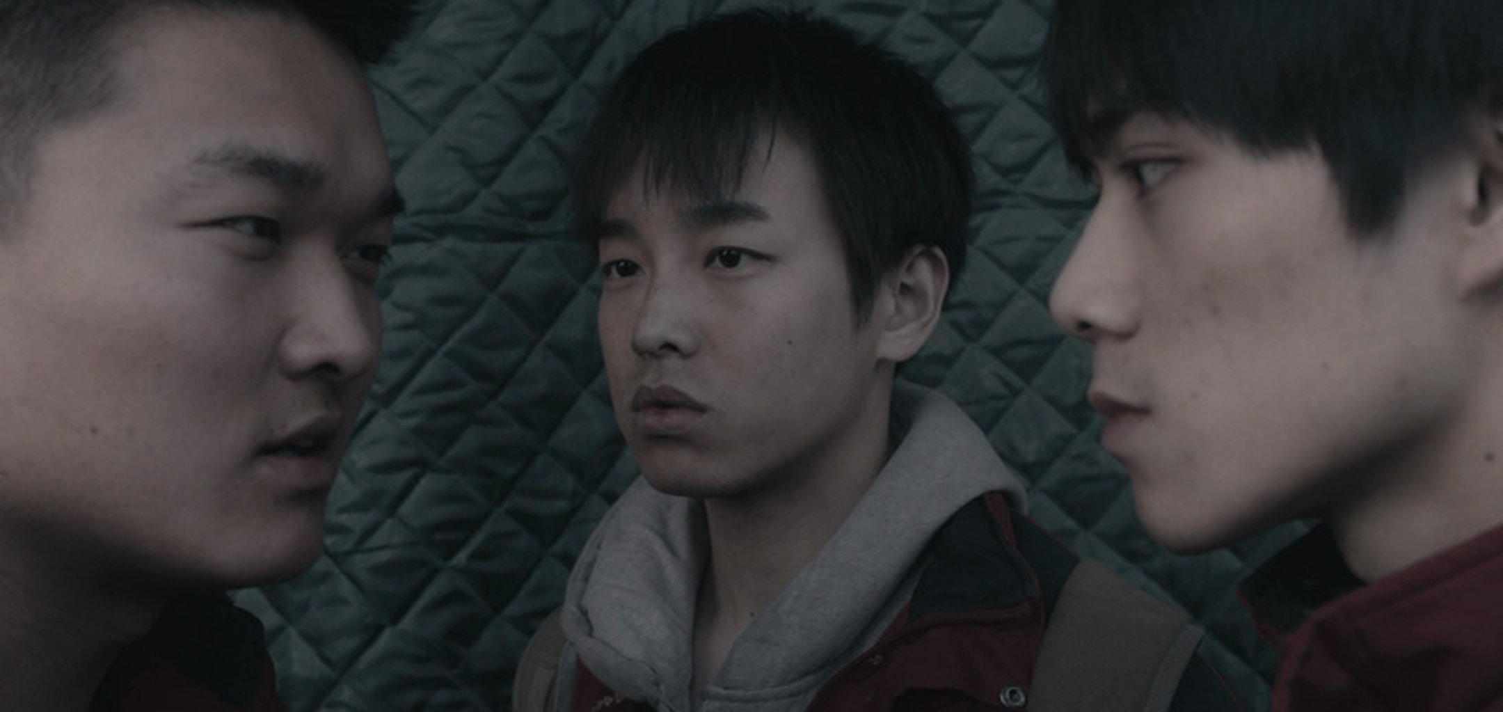 an_elephant_sitting_still_2160x1023