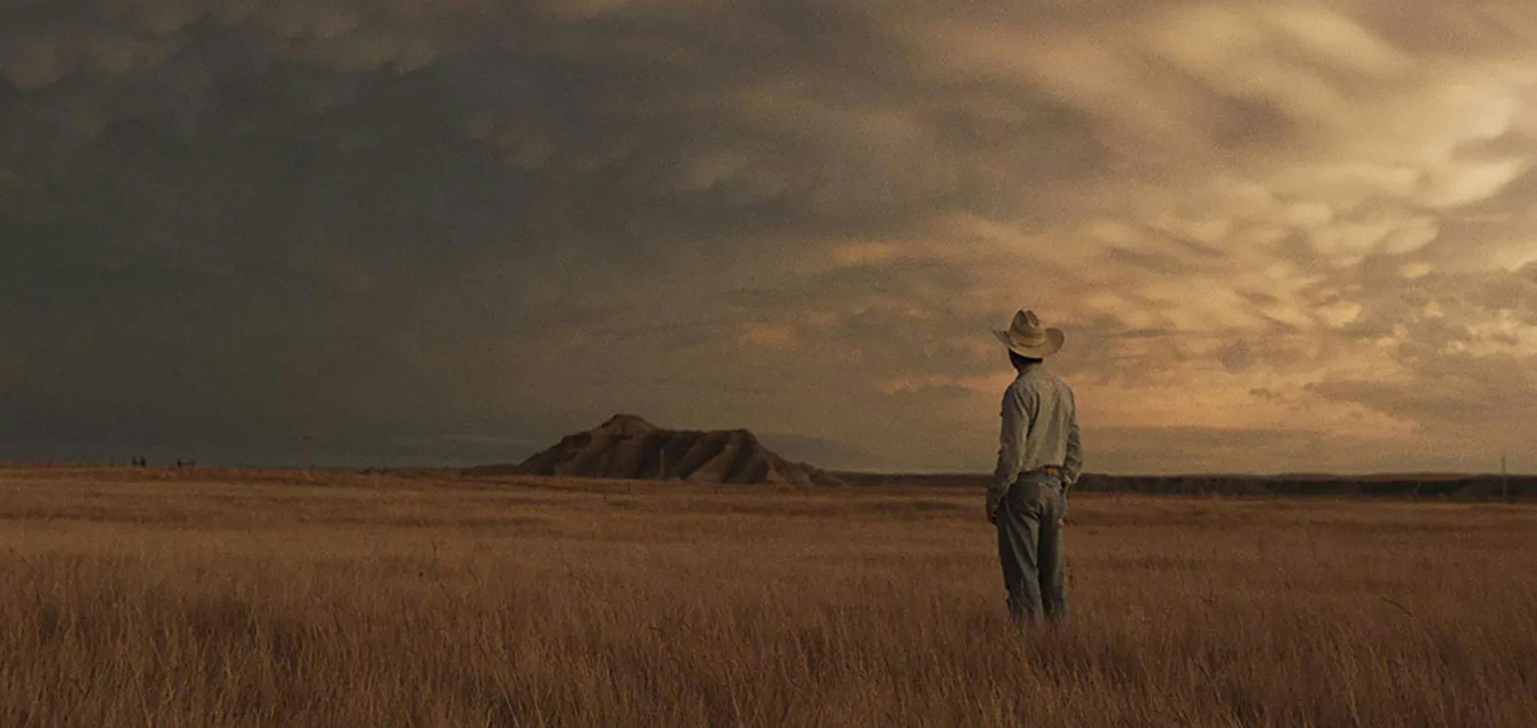 The Rider (2017) © Caviar, Highwayman Films