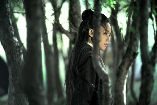 The Assassin - hero image