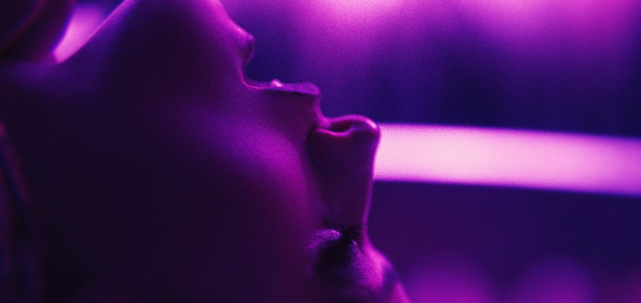 web - TOUCHME-SUNDANCE