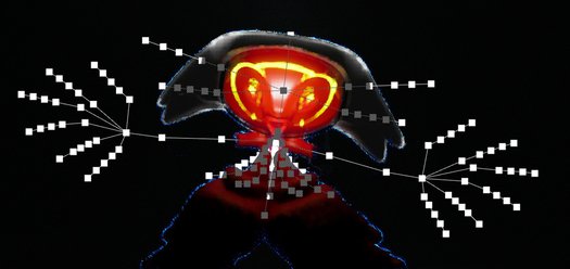 WebMOB (2025) Soft Centre