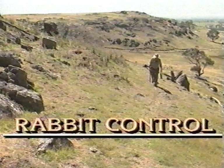 Rabbit Control [Part 1: Poisoning with 1080] | Ian Blythman | 1989 ...