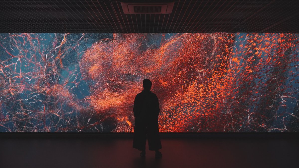 Evolver | ACMI collection | ACMI: Your museum of screen culture