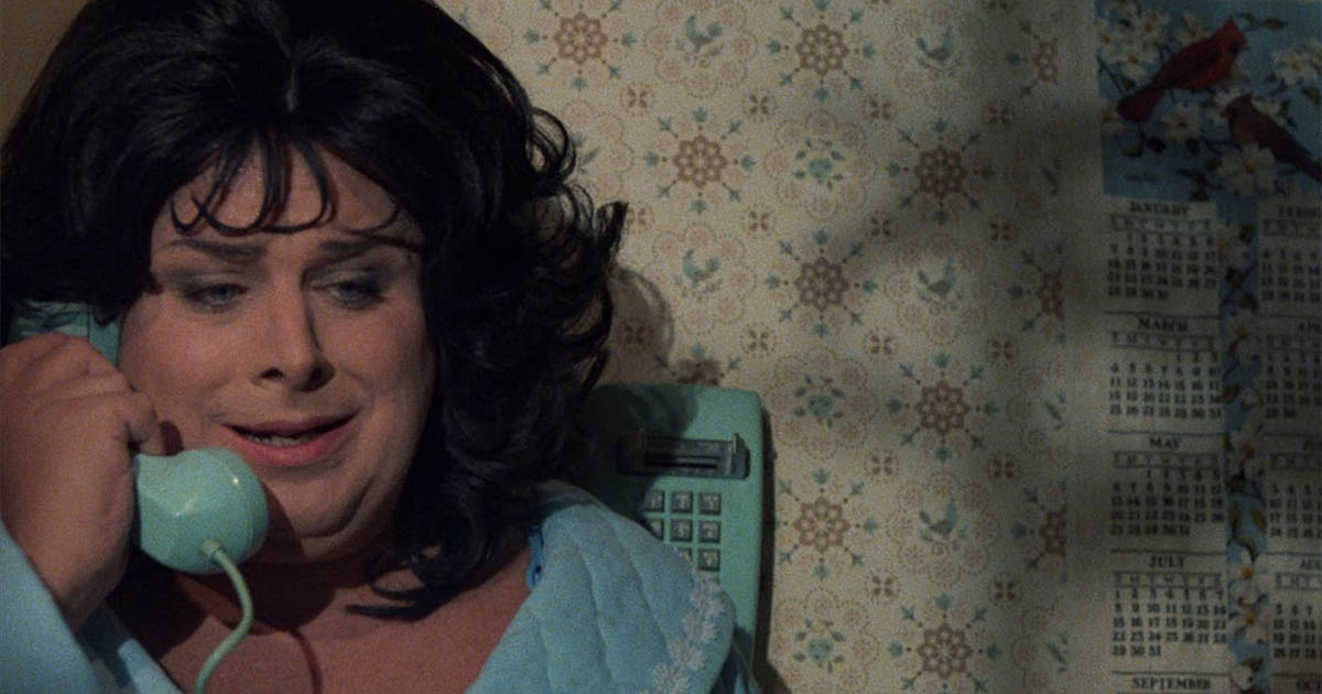 Polyester Show Polyester (1981) | From Sun 3 – Sun 17 Sep Goddess Sundays | ACMI: Your ...