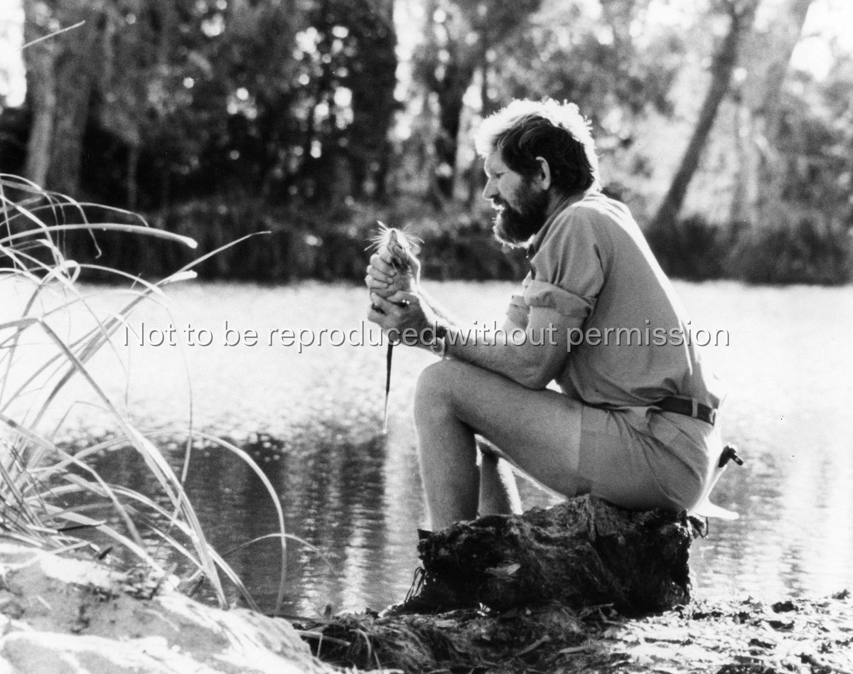 [In the wild with Harry Butler : publicity kit] | ACMI collection ...
