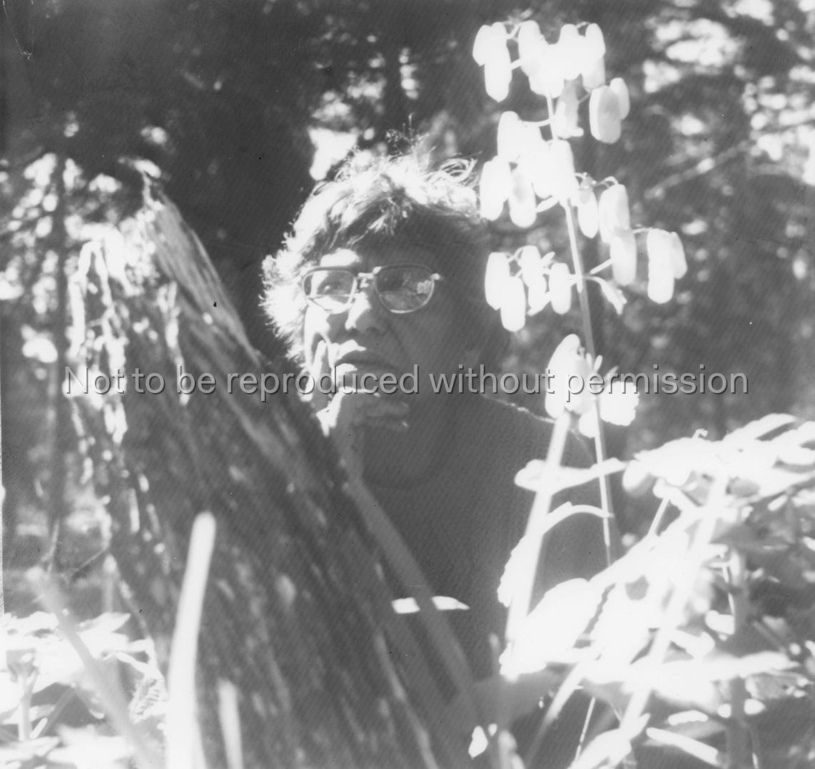 [Shadow sister : publicity kit] | ACMI collection | ACMI: Your museum ...