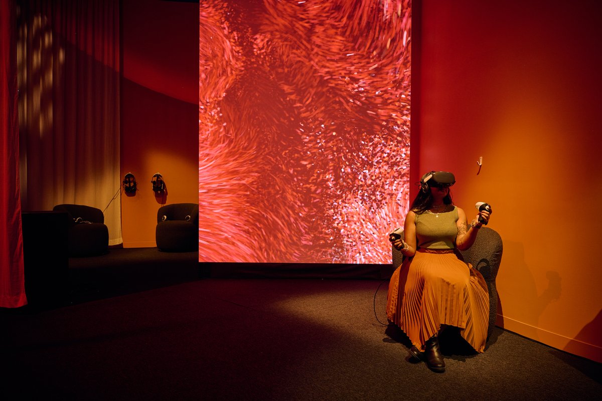 Evolver: The Beating Heart | 2023 | ACMI collection | ACMI: Your museum ...