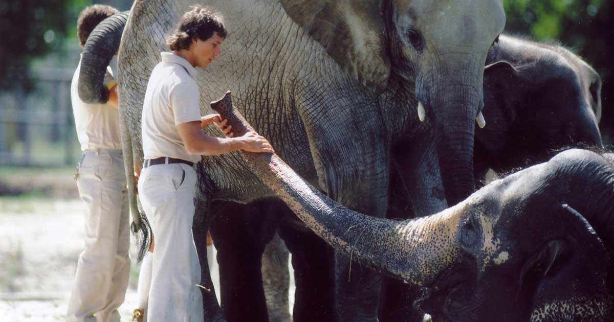 Zoo