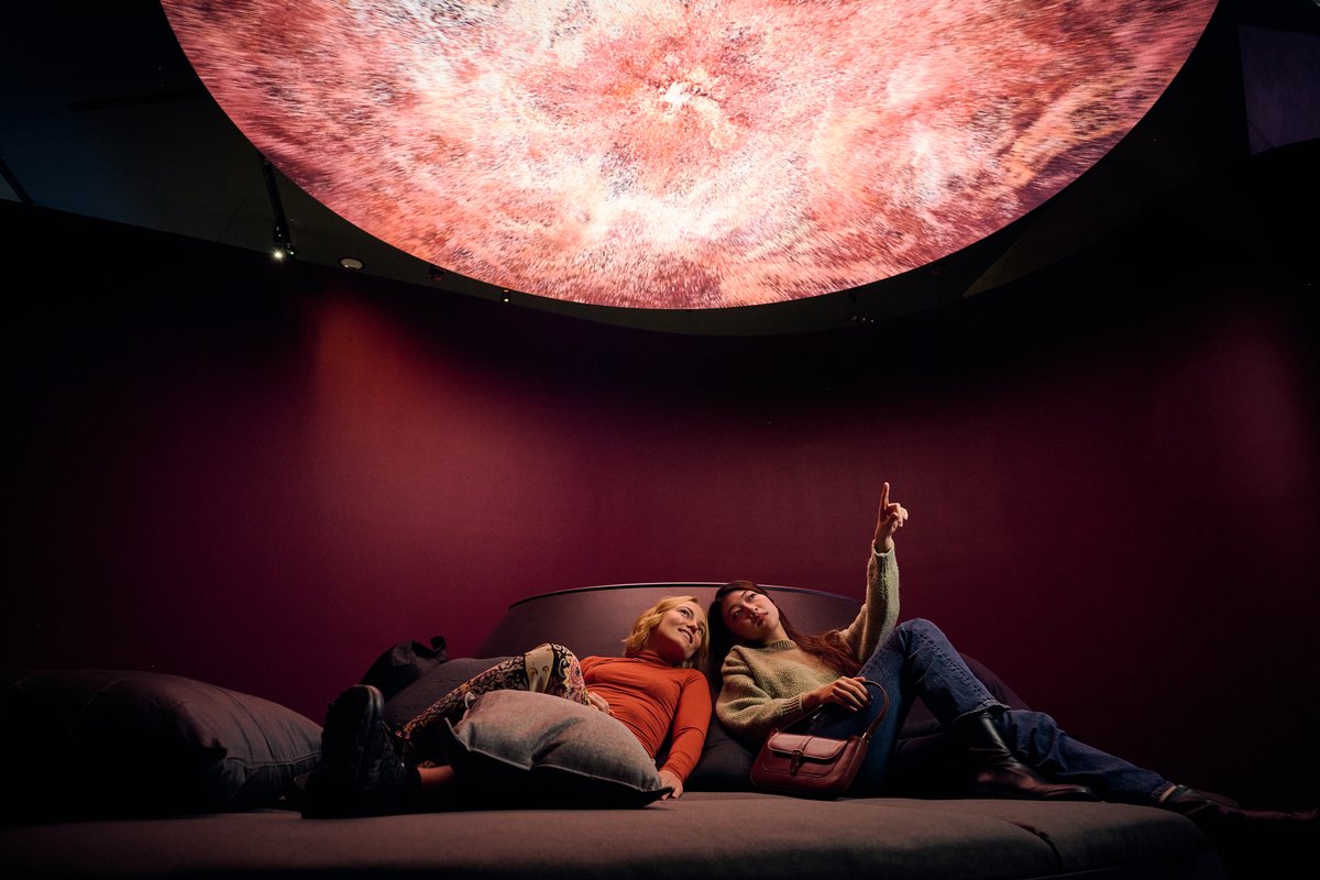 The Breathing Cell | 2022 | ACMI collection | ACMI: Your museum of ...