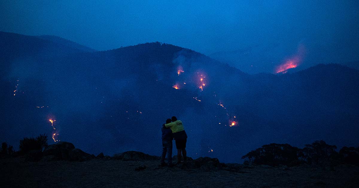 Fire Front (2022) Eddie Martin | Thu 18 Aug MIFF70 | ACMI: Your museum ...