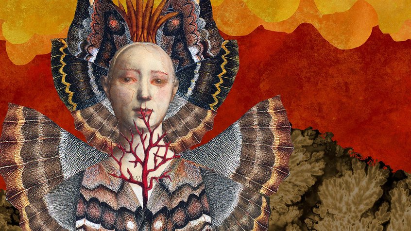 A woman-moth hybrid in an illustrative collage from Deborah Kelly's The Gods of Tiny Things (2021)