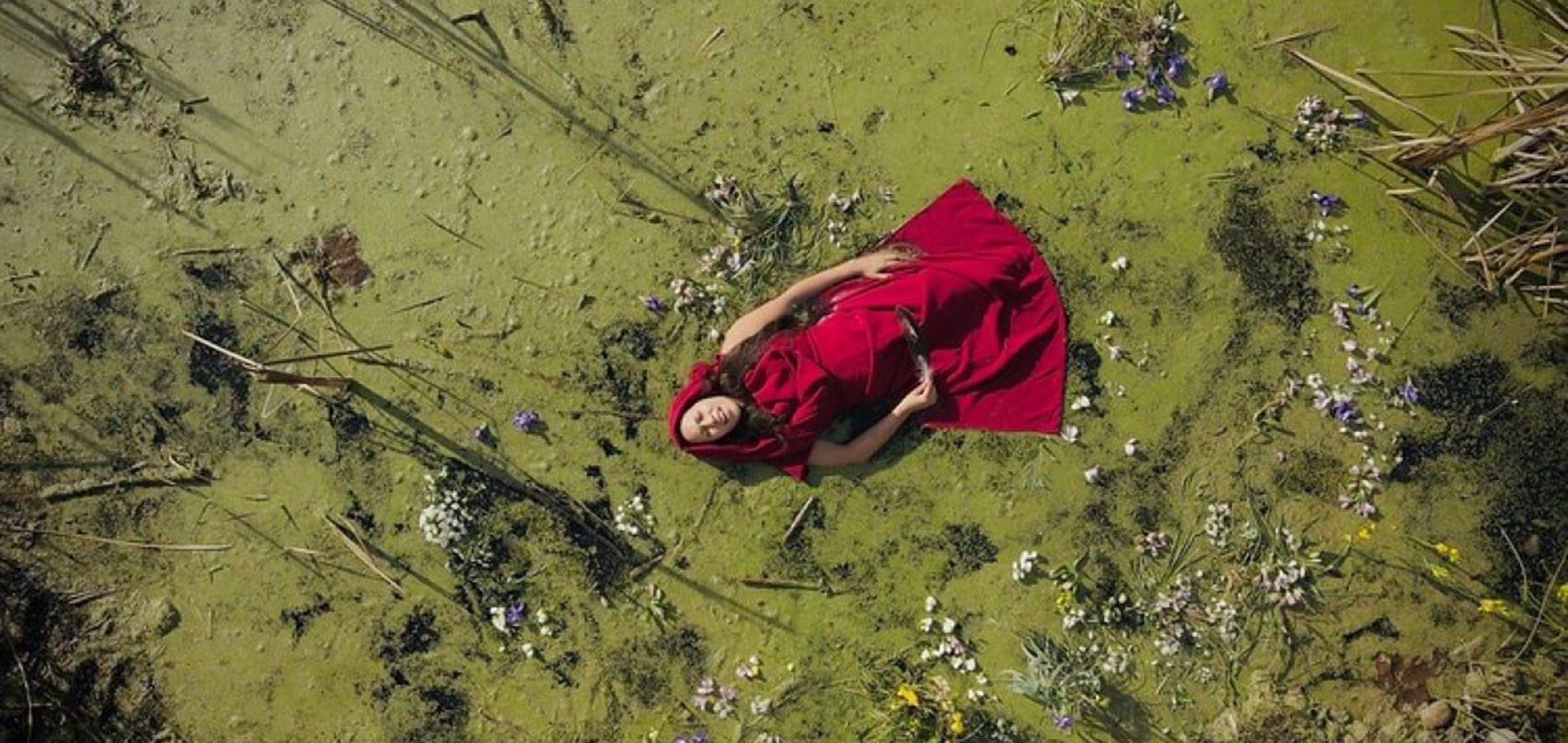 Along the Rise - curated by Darlene Naponse