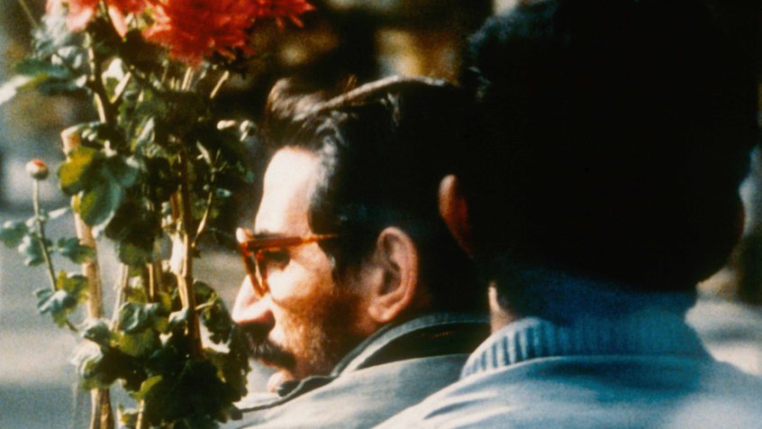 Close-Up (1990) - 2–13 Sep 2021