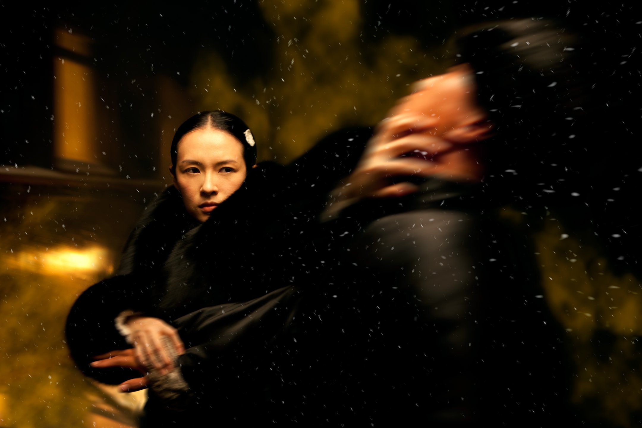 Zhang Ziyi in The Grandmaster
