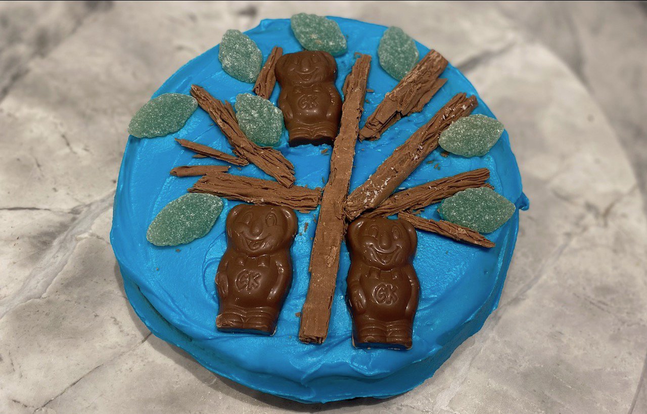 Blinky Bill cake