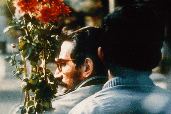 Kiarostami multipass gif