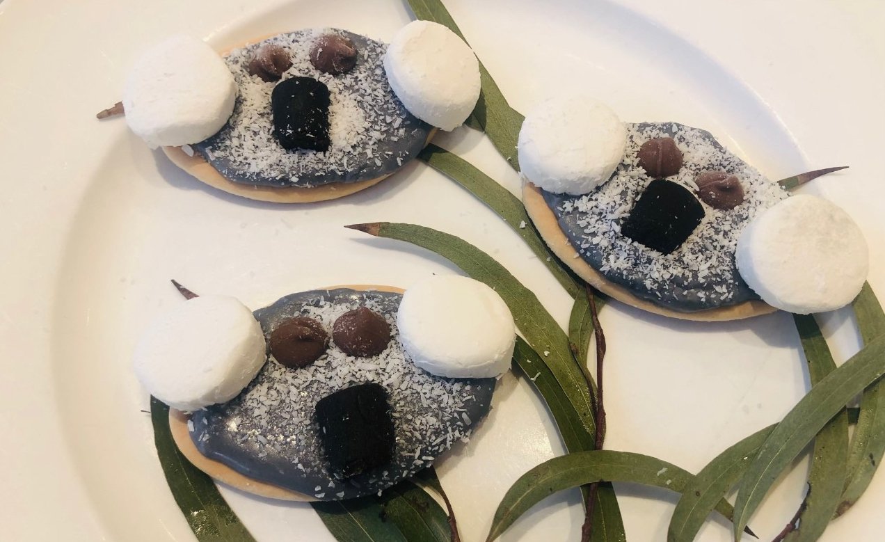 Blinky Bill koala biscuits