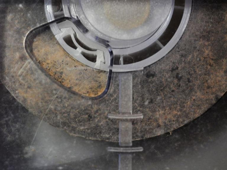 Mould where mould shouldn’t be. Image courtesy of the NFSA (https://www.nfsa.gov.au/collection/curated/vhs-tape-mould)