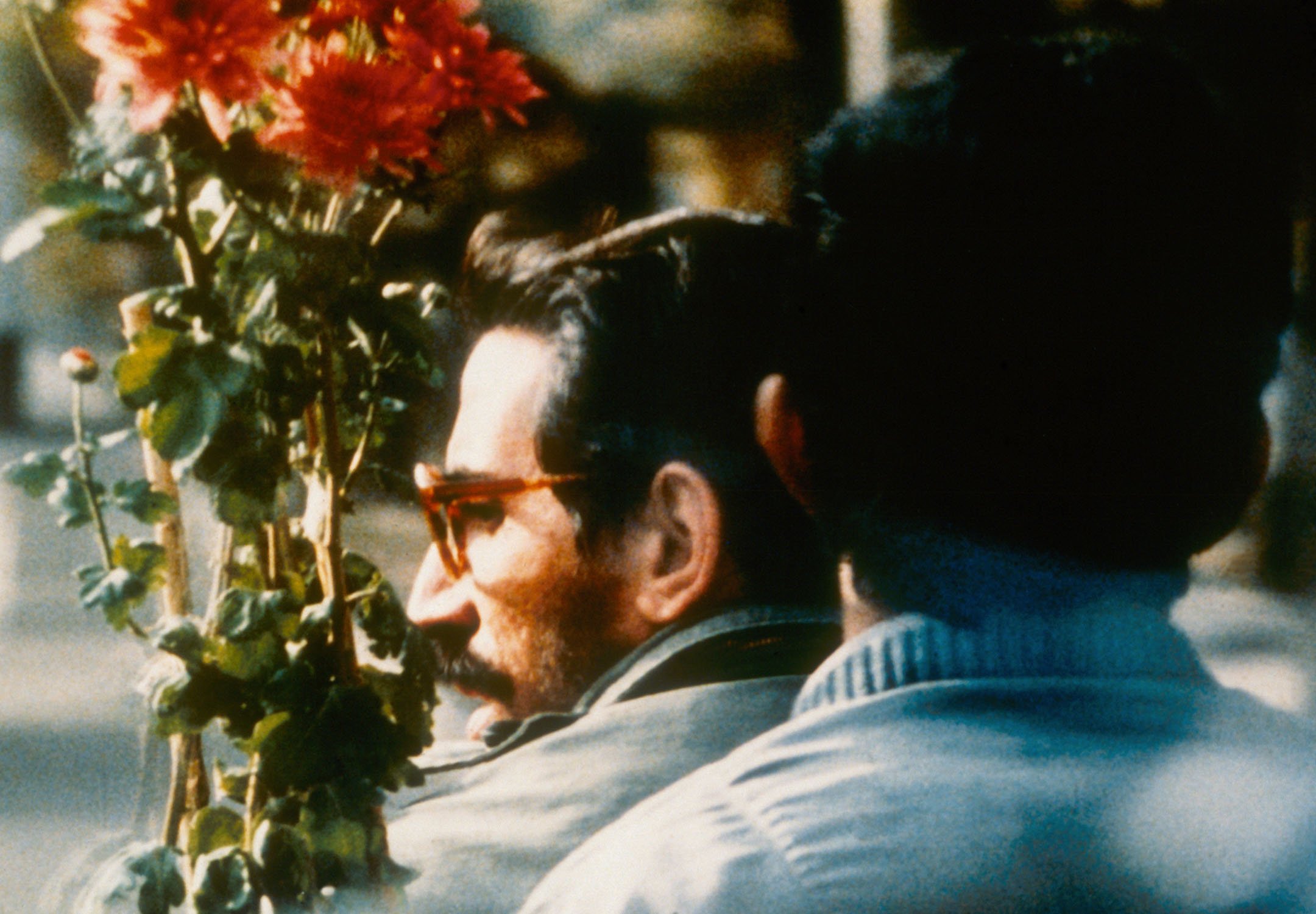 A close-up shot of the back of the heads of two Iranian men. They are both wearing blue jackets and sitting on a motorcycle. The man in the back is holding a pot plant with bright red flowers, and the face of the man in front is in side profile. He is wearing glasses.