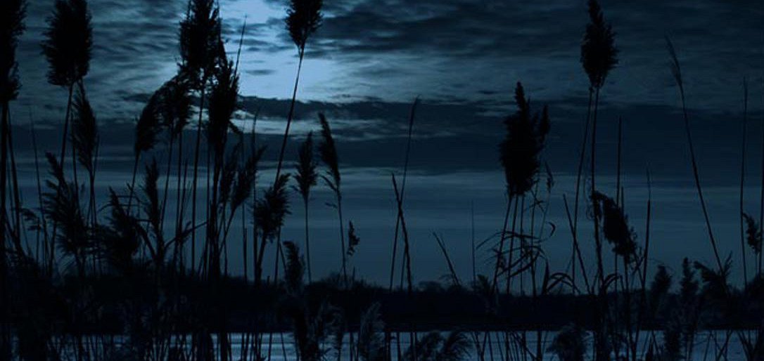 Philippe Parreno: Thenabouts - hero image