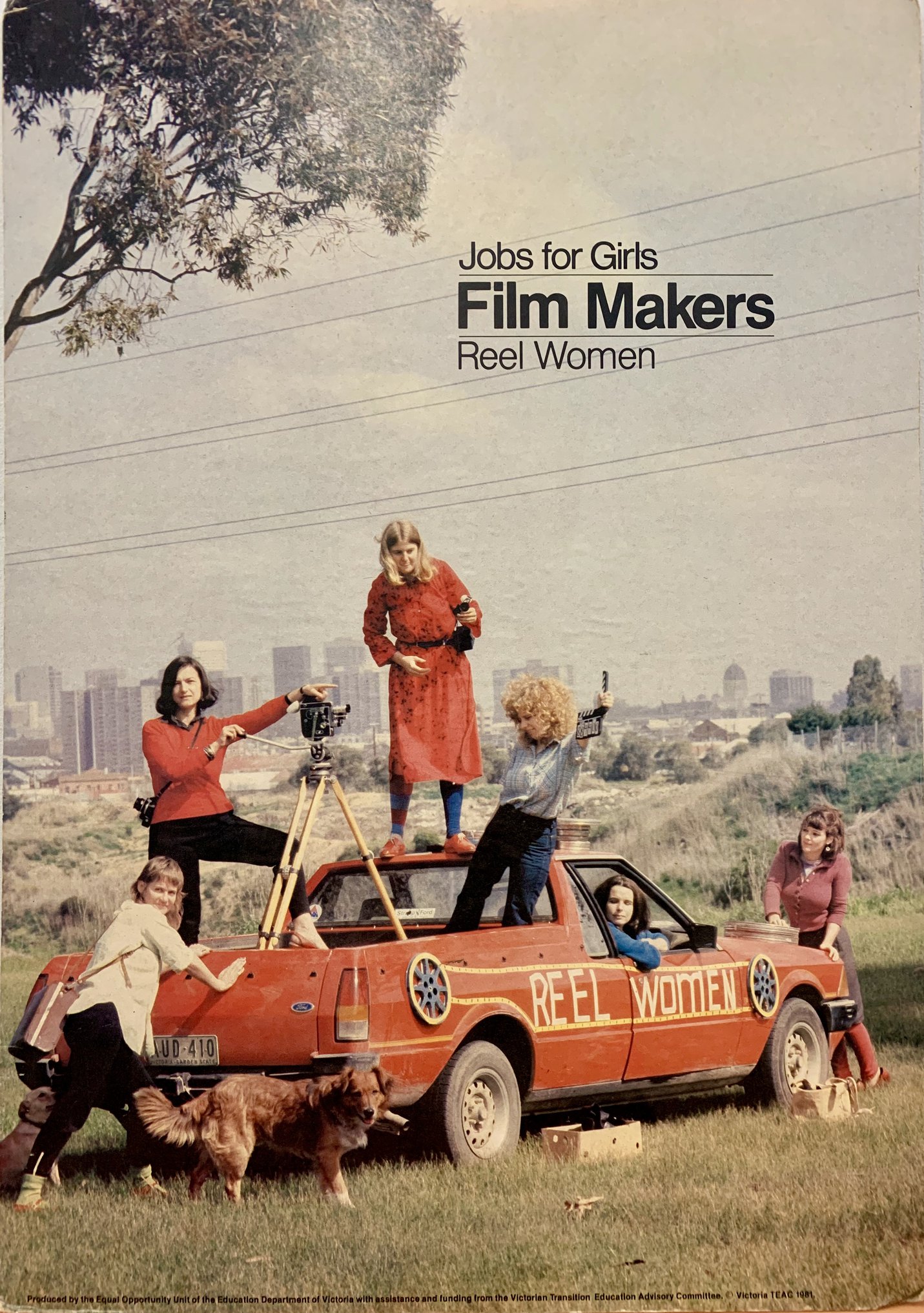Reel Women_poster_1981.jpg