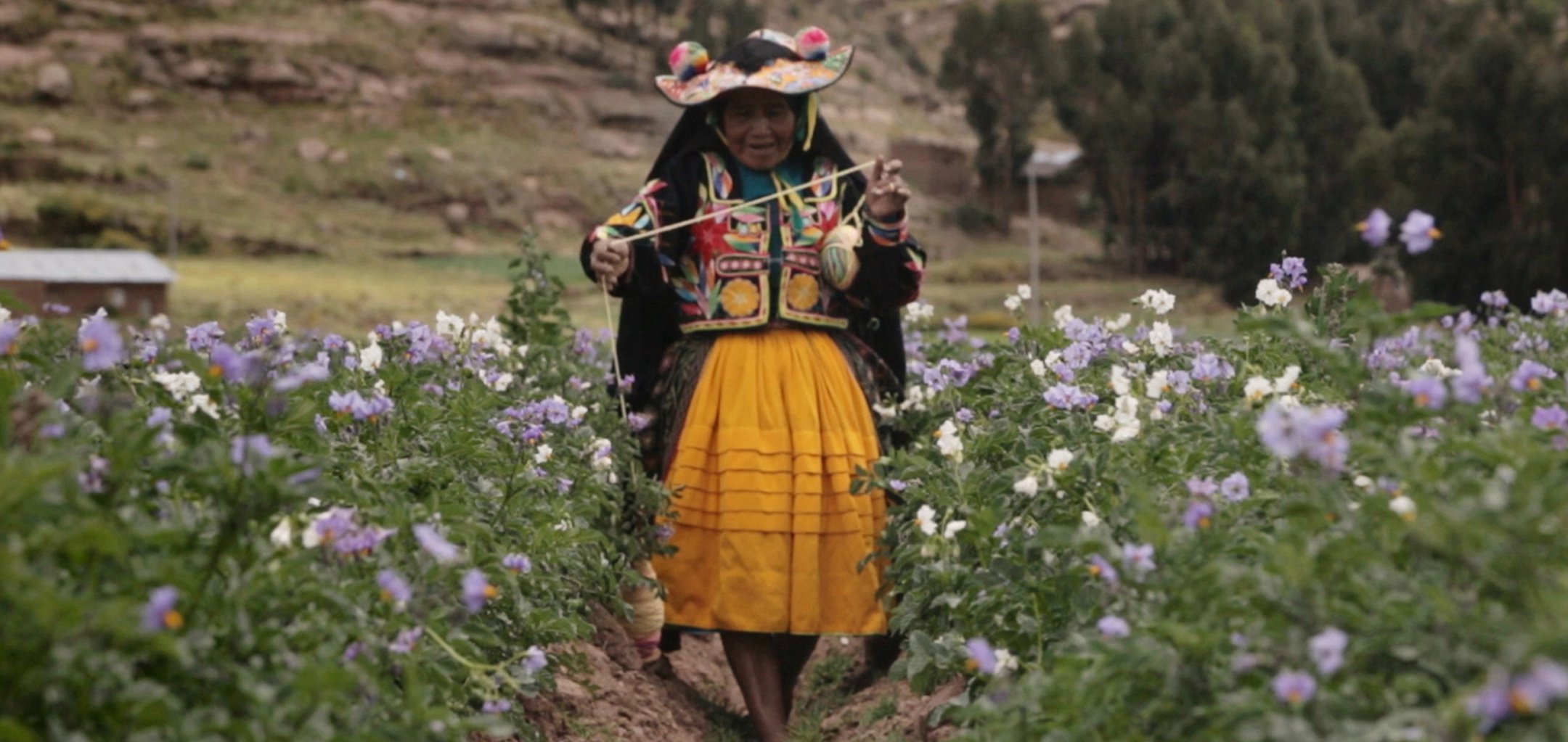 Sembradoras de Vida (Mothers of the Land) - directed by Alvaro Sarmiento and Diego Sarmiento
