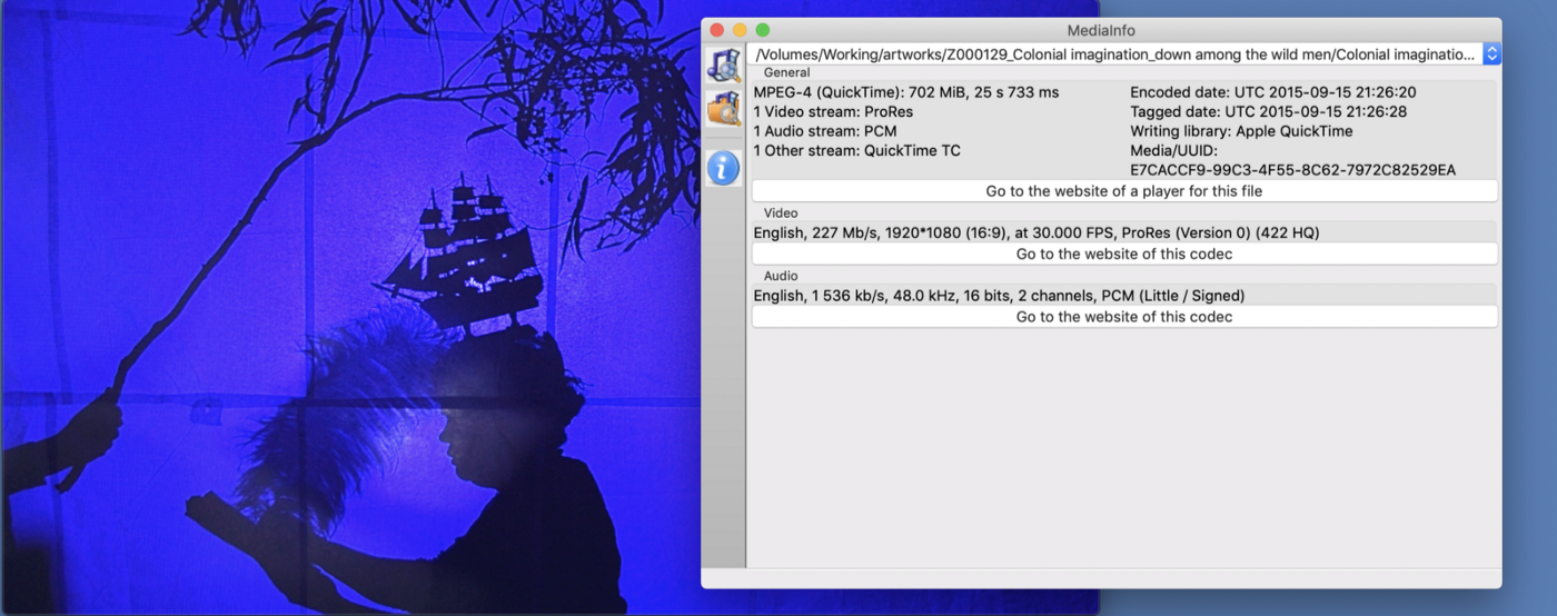 Image: Still from ‘Colonial imagination down among the wild men’, 2014 Ali Gumillya Baker and metadata analysis for born digital artwork acquisition to the Collection