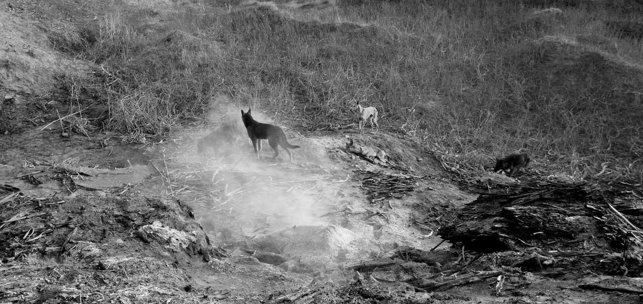 Still from 'East of Que Village' - Yang Fudong