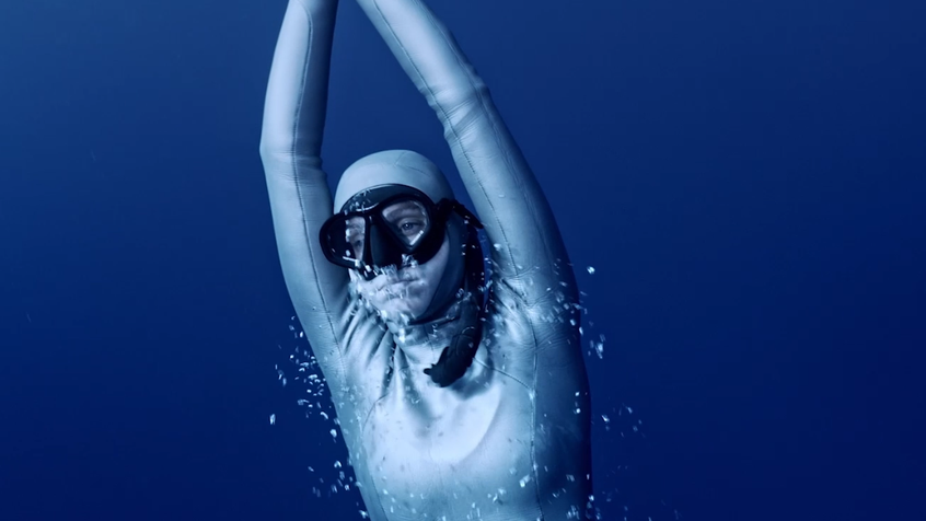The Flow Effect, 2019