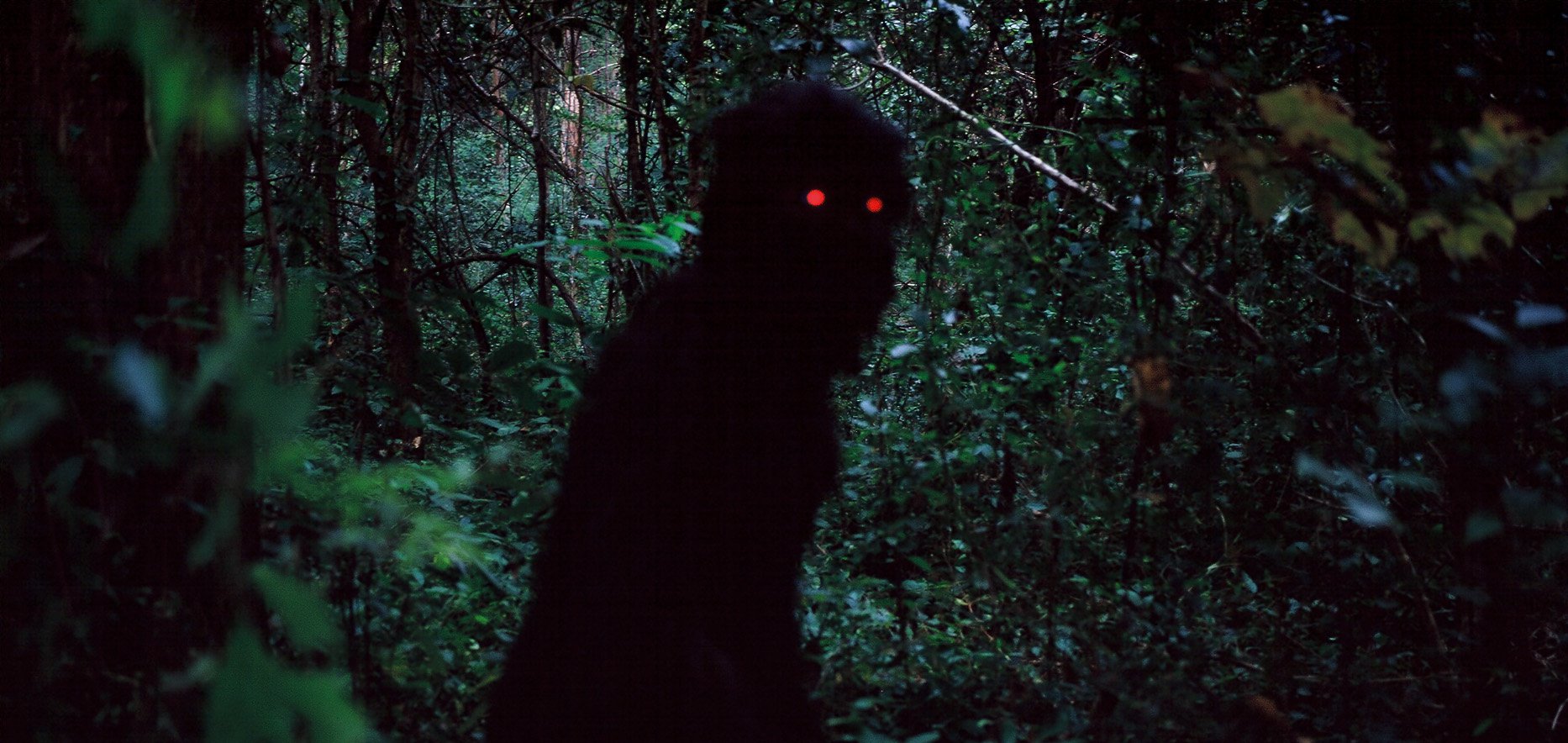 Still from Uncle Boonmee Who Can Recall His Past Lives (2010) - silhouette in forest with red eyes