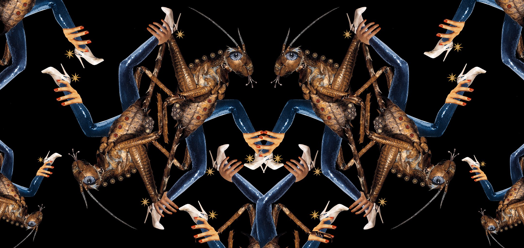 Cricket collage from Deborah Kelly's 'The God of Tiny Things'