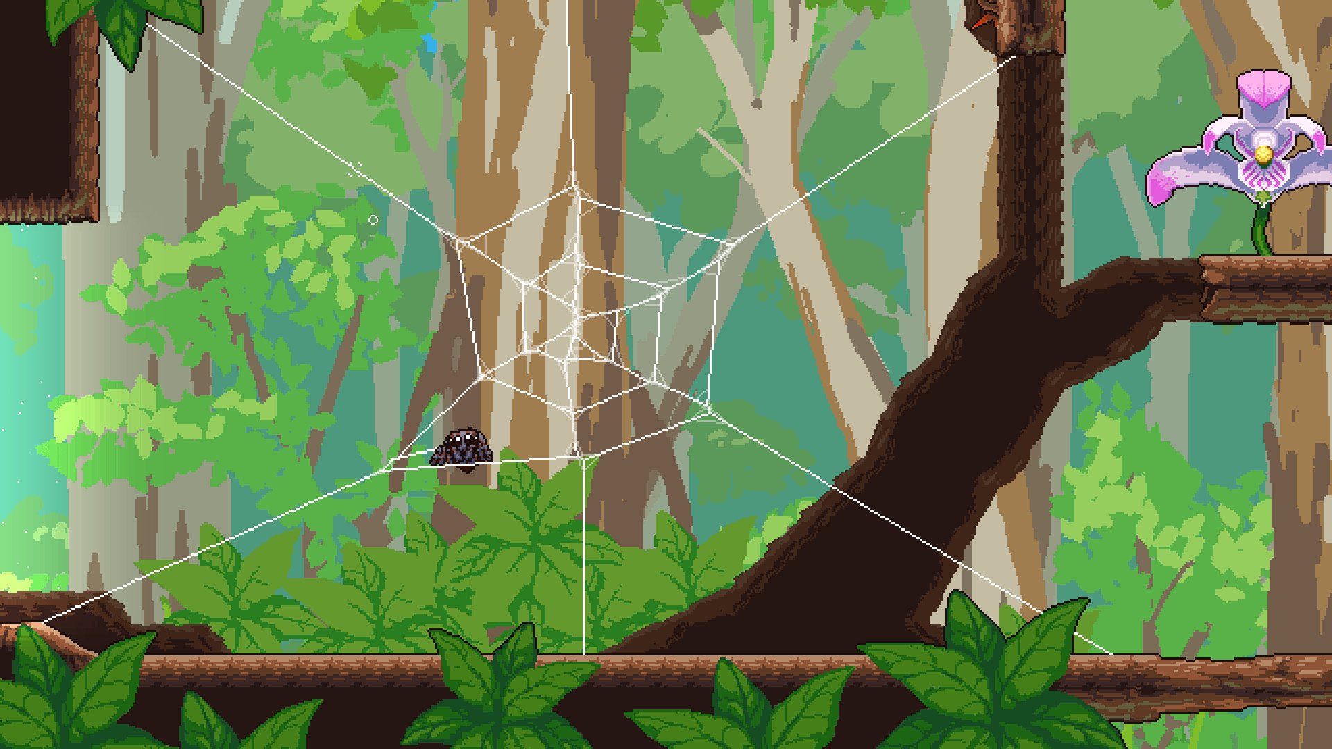 Peacock spider sitting in a web - screenshot from 'Webbed' (2021) Sbug Games